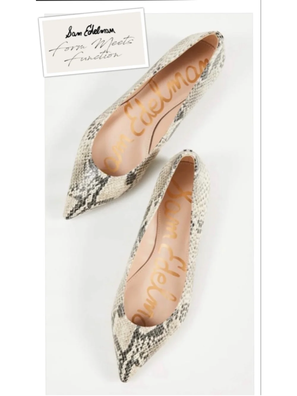 Sam Edelman Pointed Toe Snake-Print Flats in Beige and Black